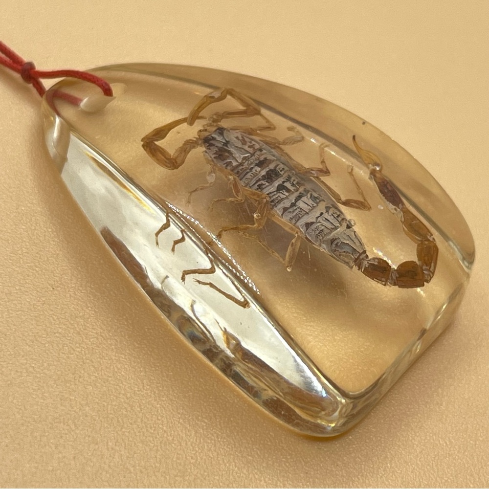 Unique Unsigned Resin Scorpio Insect Red Cord Pendant Necklace - Picture 2 of 4